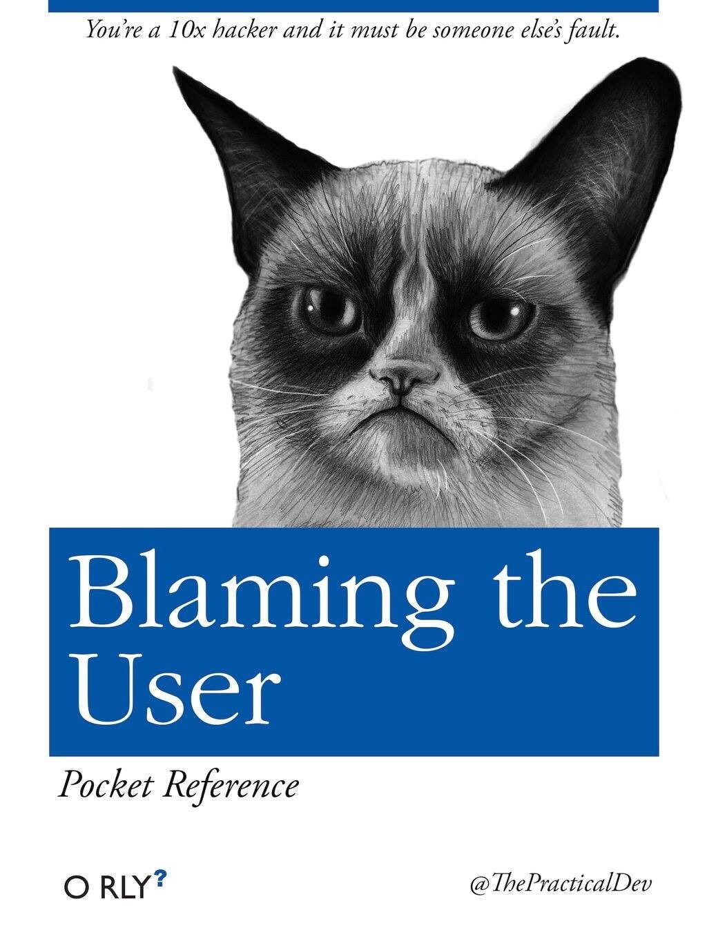 O'Reilly book title meme. A grumpy cat, book title: "Blaming the user"