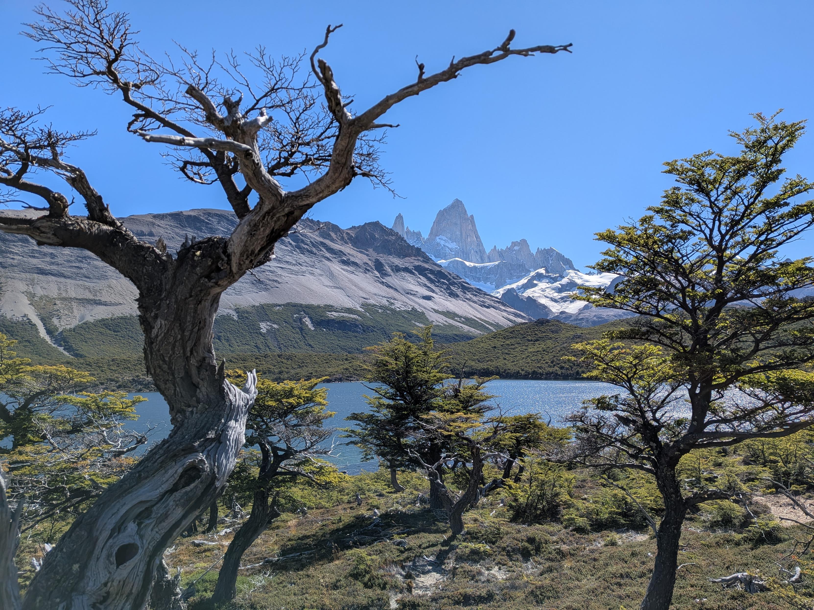 Mount Fitzroy in the distance, with lake in mid distance and a dead tree in the foreground framing it
