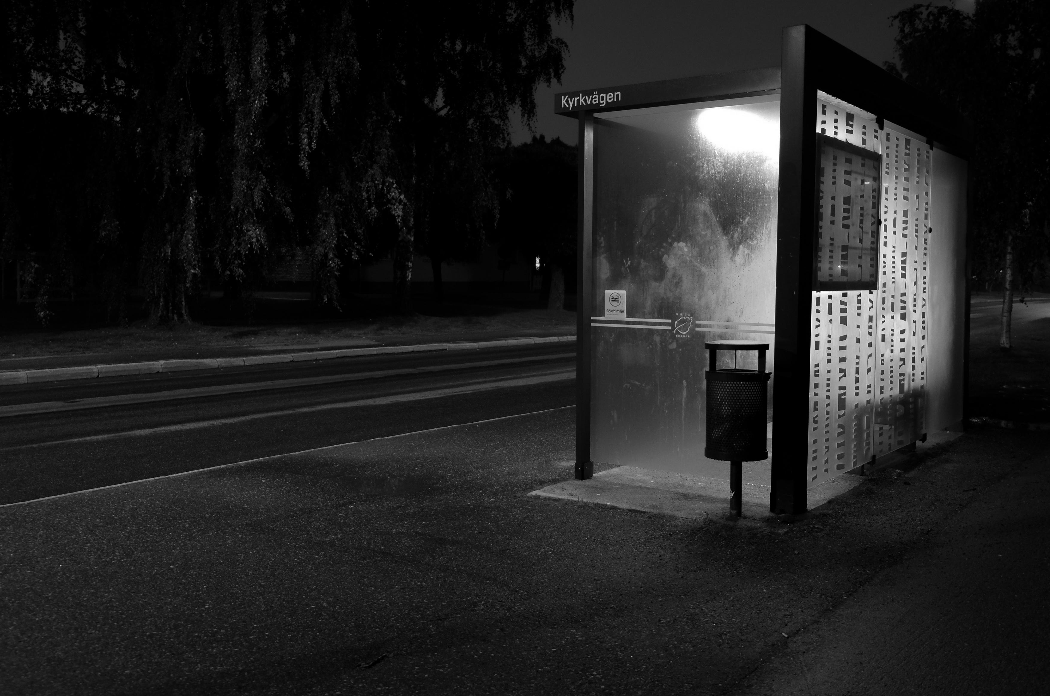 Black and white photograph of a busstop at night. The busstop is lit up inside in the dark night and its glass sides are steamed up with humidity. There are graphic abstract patterns representing birch trees on the back glass. A rubbish bin sits outside the busstop. Umeå, Sweden, 27 August 2022. Photo Cindy Kohtala