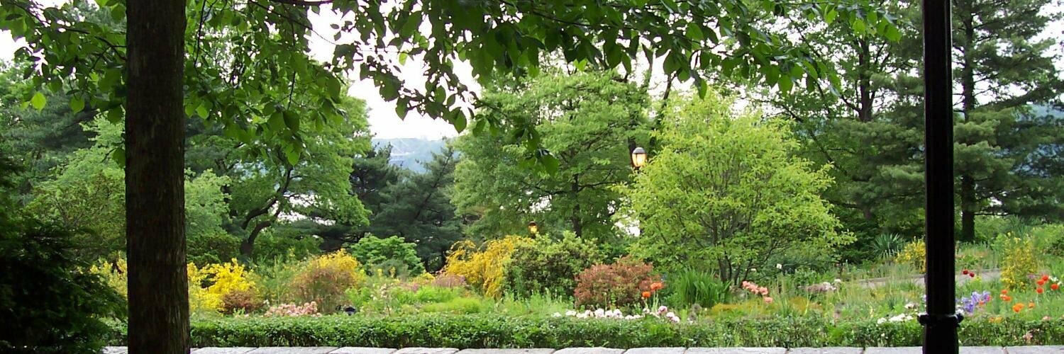 Header Image