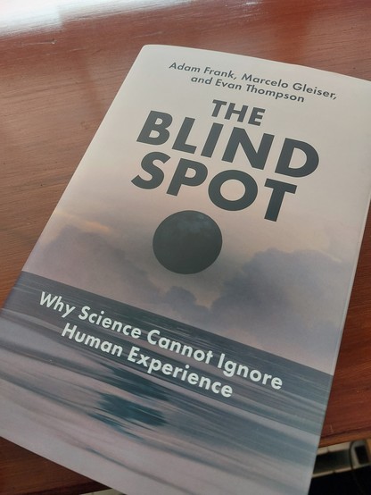 The cover of new book "The Blind Spot: Why Science Cannot Ignore Human Experience."

The image is of a black sun rising in a twilit sky over a calm, gently rippling ocean.