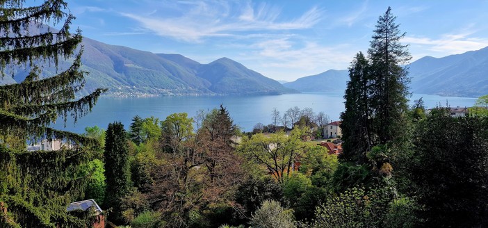 View of Lago Maggiore from my hotel room up the hill near Ascona. The blue lake is framed by green mountains and the blue skies with fluffy clouds. Trees in the foreground