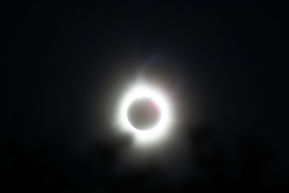 Totality through rhetoric DSLR (I only took a short break from viewing with my own eyes)