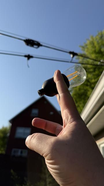 Holding up an outdoor light bulb fixture that has been chewed off of the line where it was previously attached. There are two missing bulbs on the strands.