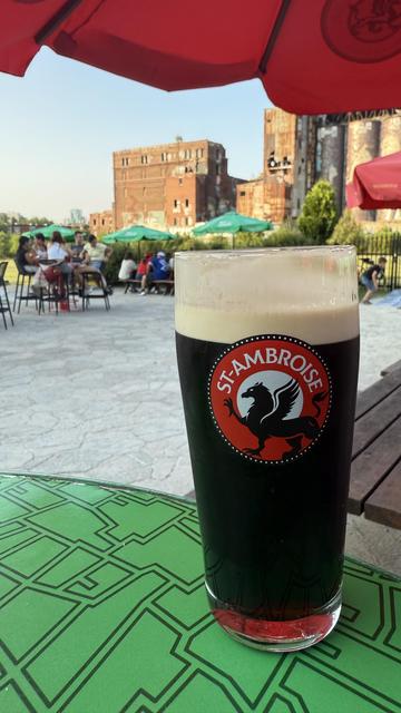 A glass of Irish Stout at Terrasse St. Ambroise.