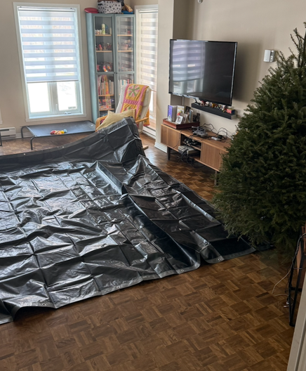 A 10’ x 12’ tarp laid out on the floor next to the victim… er… tree.