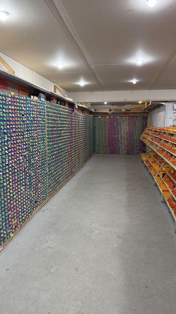 The mentioned basement. Mini bins of components and ICs on the left, bins of connectors etc. on the right.