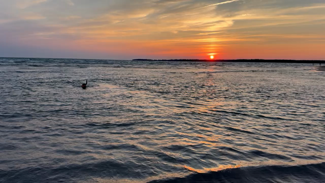 Stanley the labrador retriever retrieving his favourite water toy at sunset in Lake Ontario.