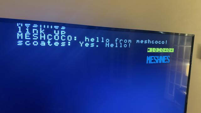 Television display of the NES. These messages came in over the mesh.