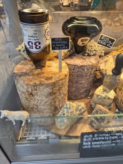A whole wheel of Blue Shropshire with an overturned bottle of beer upturned into it, and a whole wheel of blue stilton with an upturned bottle of port in it.