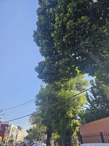 Park