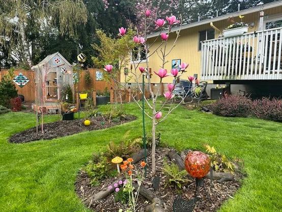 Green backyard in Washington County, Oregon, April 25, 2025.