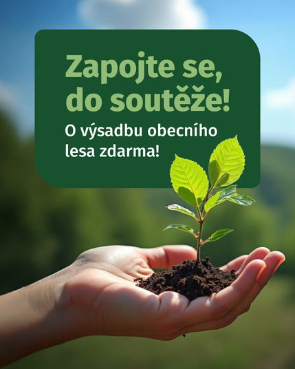 Sázíme Česko nabízí obcím zdarma výsadbu lesů – přihlaste se do soutěže