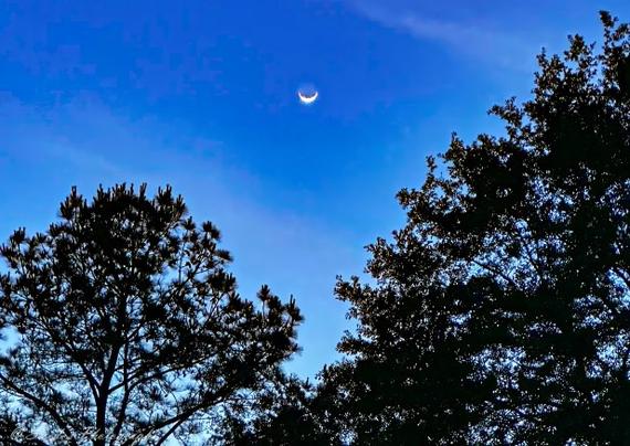 "This image captures a peaceful night sky with a crescent moon glowing in the center. The deep blue hues of the sky gradually lighten toward the horizon, creating a beautiful gradient. In the foreground, two trees stand in silhouette—one on the left with sparse branches and another on the right with a denser canopy. Their dark outlines contrast against the luminous sky, adding depth to the scene. The crescent moon serves as the focal point, lending a serene and tranquil feel to the overall composition. It’s a quiet, calming moment frozen in time." - Copilot