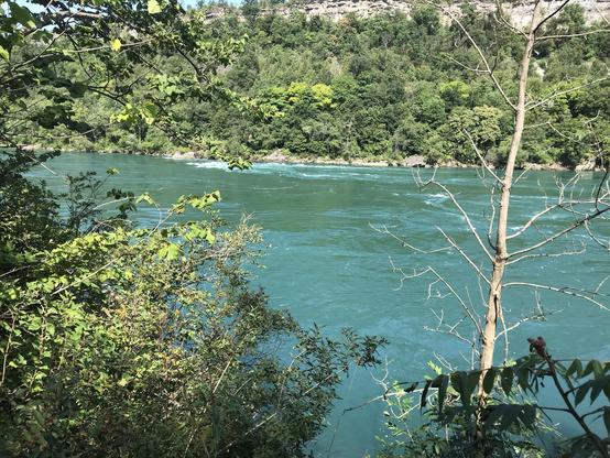 View of river from a higher elevation, trees on each side. The river itself has a lighter, almost aqua color.