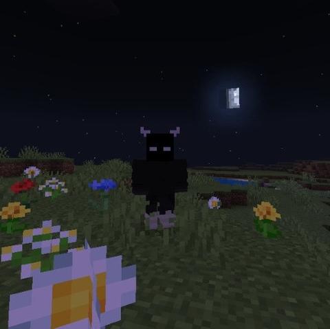 Captura de pantalla del juego Minecraft. Se ve mi avatar que es un personaje entero de negro con zapatillas blancas y cuernitos blancos. Está parado en un campo con flores y en el horizonte se ve la luna a media noche.