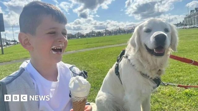 'My son was killed by criminals making cannabis'. Seven-year-old Archie York was killed in a blast in Newcastle caused by his neighbour's illegal attempts to make cannabis sweets.
