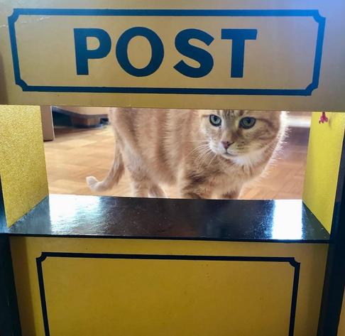 Eine rote Katze schaut aus einer Kinderpost raus.