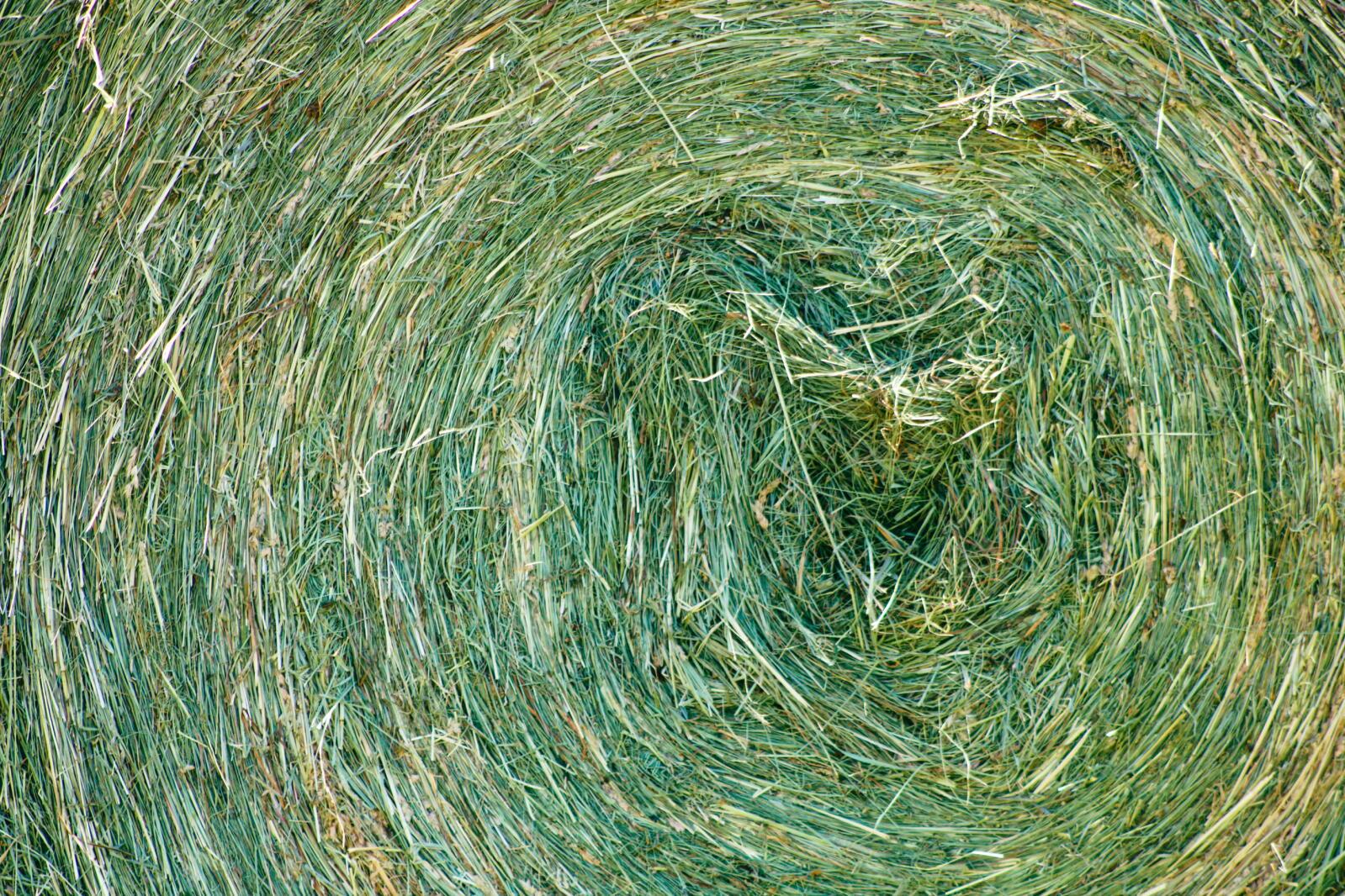 AI Enhances On-Farm Agriculture, Optimizing Hay Baling