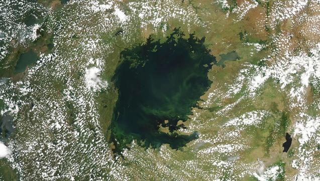 Scientists Sounding Alarm As World’s Largest Tropical Lake Turns Green Scientists Sounding Alarm As World’s Largest Tropical Lake Turns Green