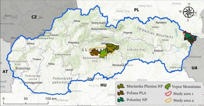 Echinococcus granulosus sensu lato in grey wolves (Canis lupus) population in Slovakia – epidemiology and genetic analysis