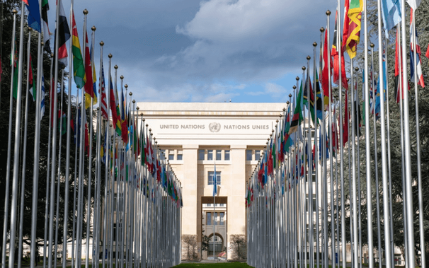 A long line of national flags in two rows leading up to a cream coloured stone building which says United Nations