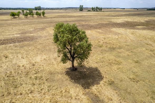 Hungary drought water danube tisza