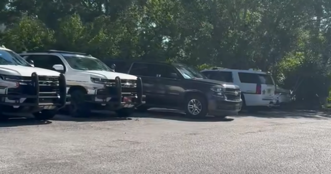 Four police cars parked under trees in a parking lot