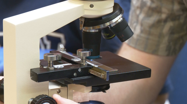 MUW hosts free science and math camp on Columbus campus