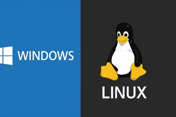 windows linux