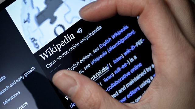 A person searching Wikipedia. | Sascha Steinbach/EPA