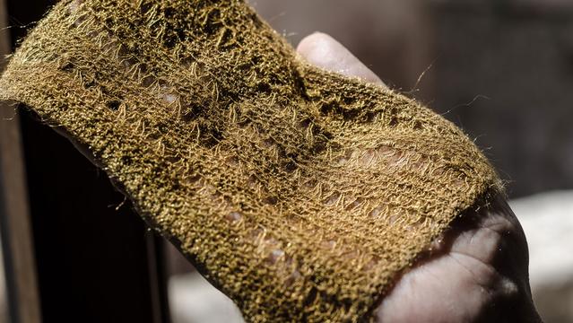 A hand holds a woven patch of sea silk