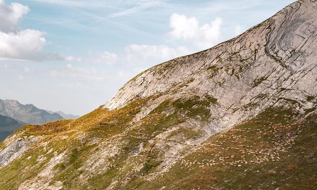 Schafe auf einem Bergkamm