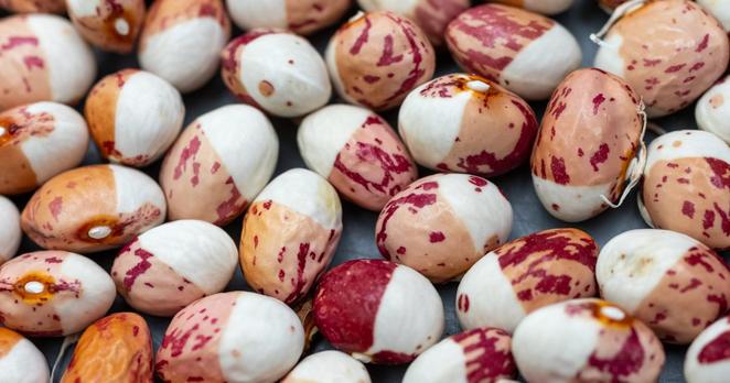 Seed saving