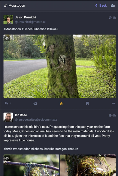 #mosstodon feed screenshot
