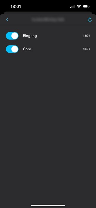 The Bonjour sync service in DEVONthink To Go.