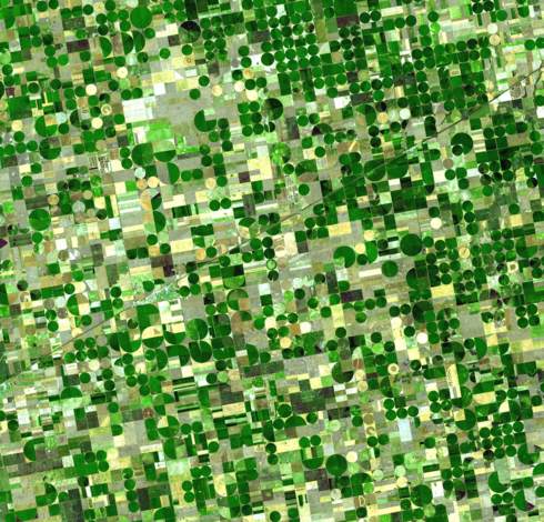 A satellite photo of crop fields in Kansas.