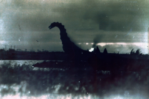 Silhouette of a long-necked lake monster