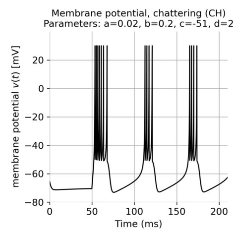 Chattering neurons, modeled with the Izhikevich model.