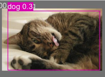 vision model result predicting 30% dog for an image of a cat