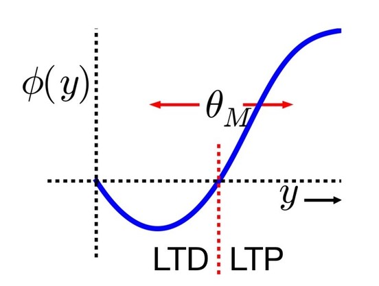 Relationship between postsynaptic activity y and the modification functionϕ(y) (blue line), which is dependent on the dynamic threshold θ_M (red dashed line). Two distinct regimes can be identified: for y<θ_M (left of the red dashed line), the modification function is negative, leading to LTD (the synaptic strength decreases in this region), while for y>θ_M (right of the red dashed line), the modification function is positive, leading to LTP (the synaptic strength increases in this region). Image source (modified): http://www.scholarpedia.org/article/File:BCM_Main_figure.png