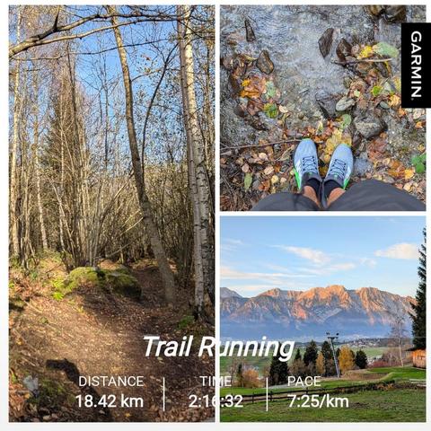 A triptych of hiking scenes: On the left, a forest trail winds through a birch grove with fallen autumn leaves and moss-covered rocks. In the top right, a first-person perspective shows light blue running shoes on rocky ground scattered with fallen autumn leaves and water. In the bottom right, a scenic mountain landscape shows the peaks of mt. Bettelwurfeaks glowing orange in the evening sunlight, viewed across green pastoral fields with fence posts and scattered evergreen trees in the foreground