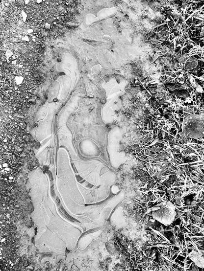 Black and white photography of a Frozen puddle from directly above. The ice looks rather graphical like a work of art. Think of Eric Satie‘s Gnossienne No. 1 as the perfect soundscape.