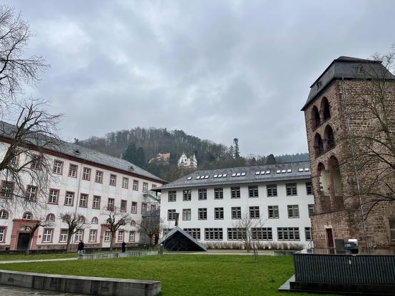 Courtyard of Heidelberg University 