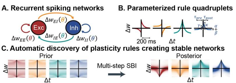 Figure 1 from the preprint.