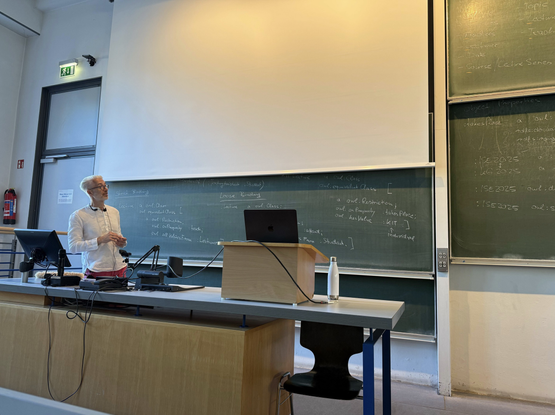 Me, standing in front of the vlackboards in the lecture hall. 3 huge blackboards are already filled with OWL triples ;-)
