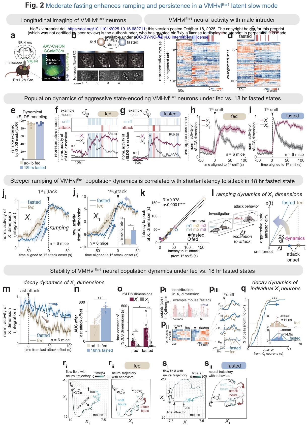 Fig. 2 | Moderate fasting enhances ramping and persistence in a VMHvlEsr1 latent slow mode.