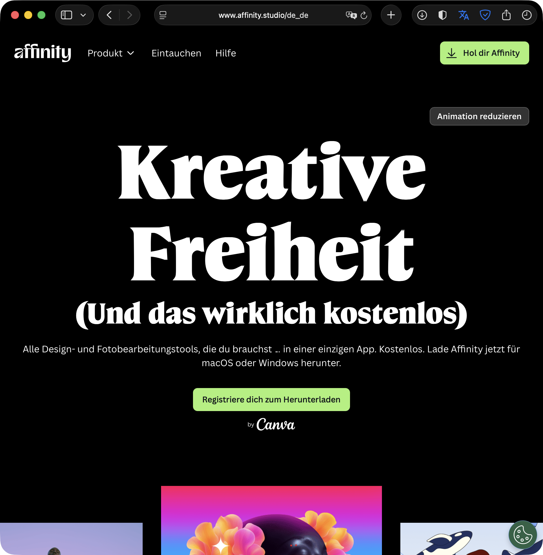 Sorry, no caption provided by author