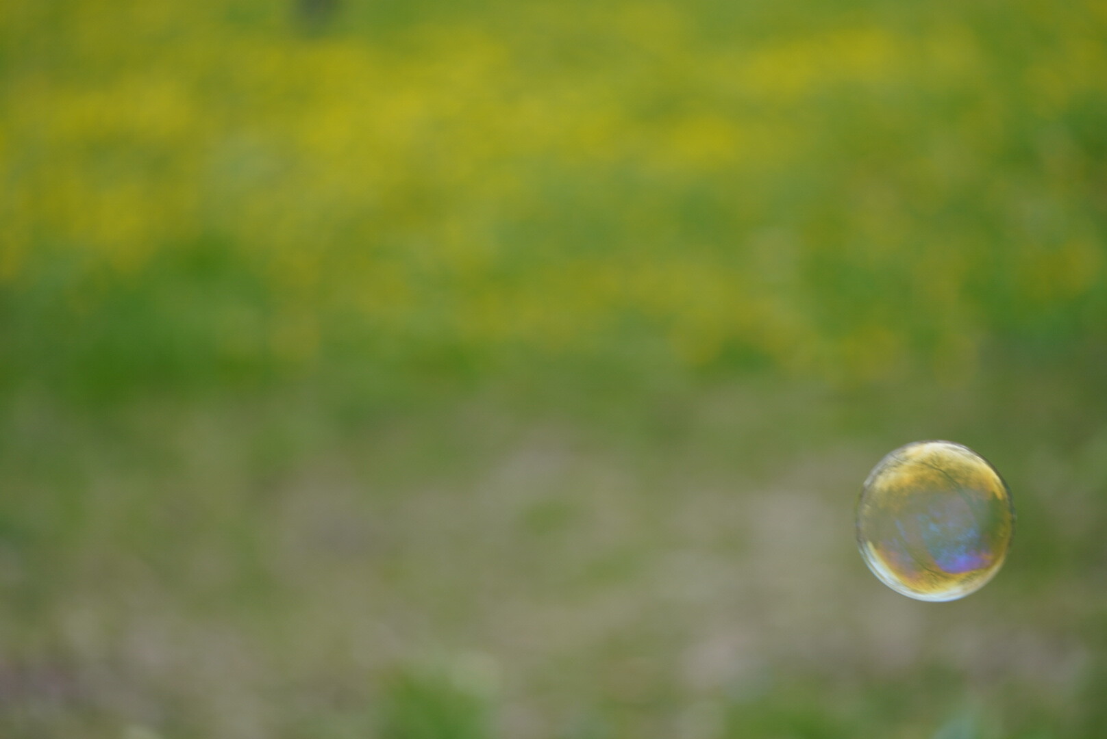 A green out of focus background. In the lower right corner is a soapbubble, sharp.