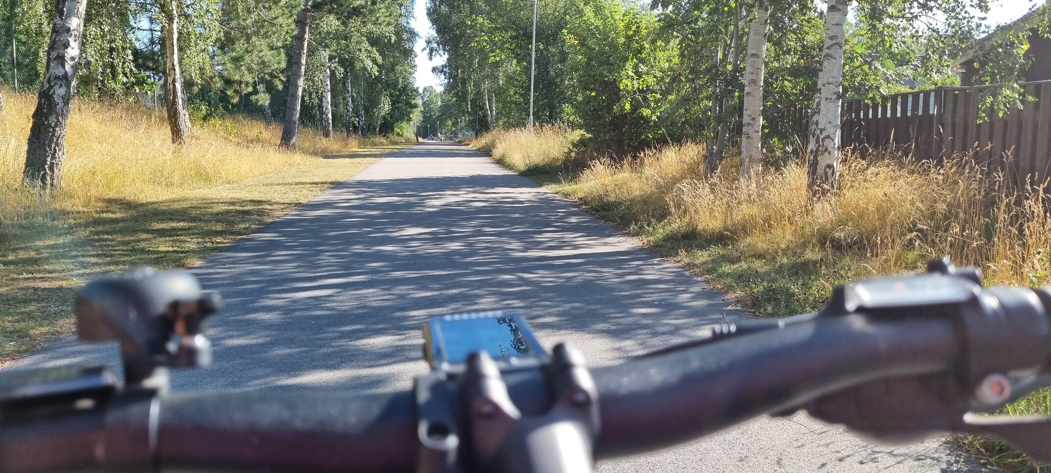 The front of my bike on a rode with trees on either side.